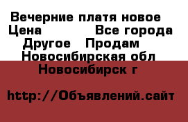 Вечерние платя новое › Цена ­ 3 000 - Все города Другое » Продам   . Новосибирская обл.,Новосибирск г.